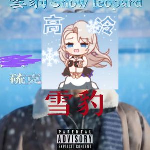 午夜影院啪啪啪
