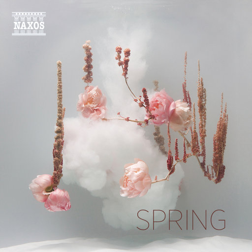 午夜影院啪啪啪
